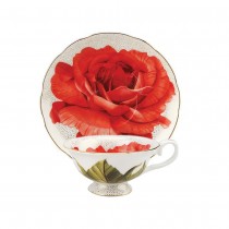 Red Rose Dotty Gold Tea Cup Saucer Single Set