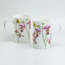 Pink Orchid Bone China Mugs, Set of 4